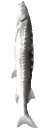 Joel2 emote