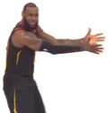 WHATAREYOUDOING static emote