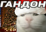 GANDON emote