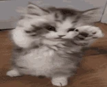 cute emote