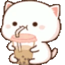 bobacat emote