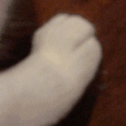 peets static emote
