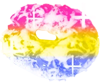 PansexualPrideBagel emote