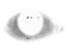 Pronoia emote