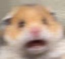 ahhh emote