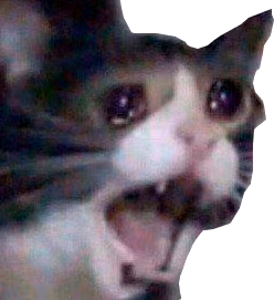 sadcat1 emote