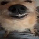 ropopo emote