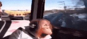 Thinkboutlife animated emote