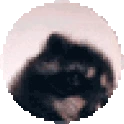 PedroPedroPedro emoji