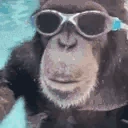 QuiteBasedIndeedWhyYesExtraordinarilyBased emote
