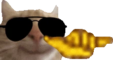 Cool emote