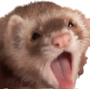 Ferret_yawn emote