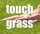 touch_grass emote