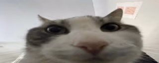 aha27 emote