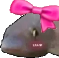 fishCute emote
