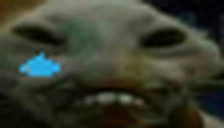 xddsad emote