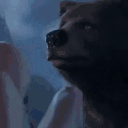dndBear animated emote