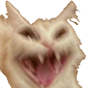 cat_scream emote