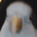 sisi emote