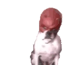 daredevilDog emoji