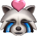 lovecry_raccoon emote