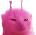 mlorp