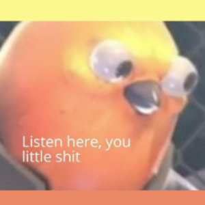 xbirdy avatar