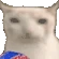 cat_chips emote