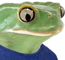 Sad_8Kpepe emote