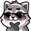 Raccoon_112_46 emote