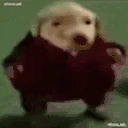 dogWalk emote
