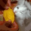 Mango emote