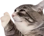 hesNotAlrightYouKnow emote