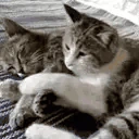 Hug emoji