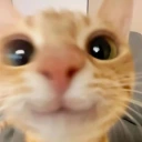 3 emote