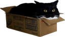 maxwellboxannoyed emoji