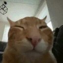 buhSingingAtYou emote