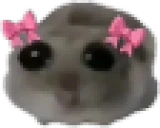 sadHamster emote