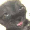 TIRED emote