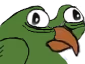 Birdentge emote