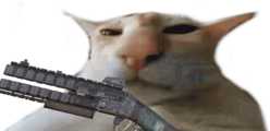 shotguh emote