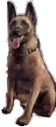 BulletTheDoggo emoji
