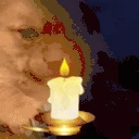 dogScared emote