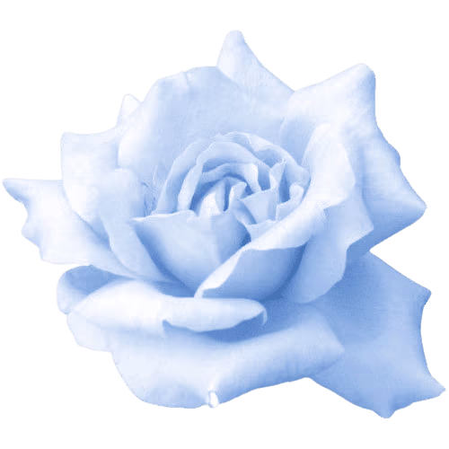 blue_rose emote