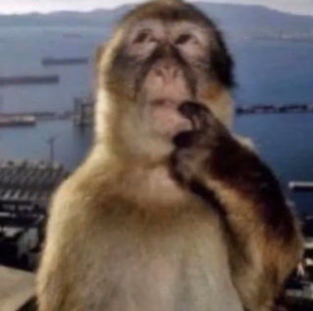 monkeyhuh emote