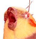SlavMALD animated emote