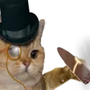 rich_cat emote