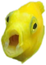 zikefish_pog emote