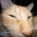 SusGinger emote