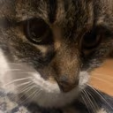 WhatchuDoin emote